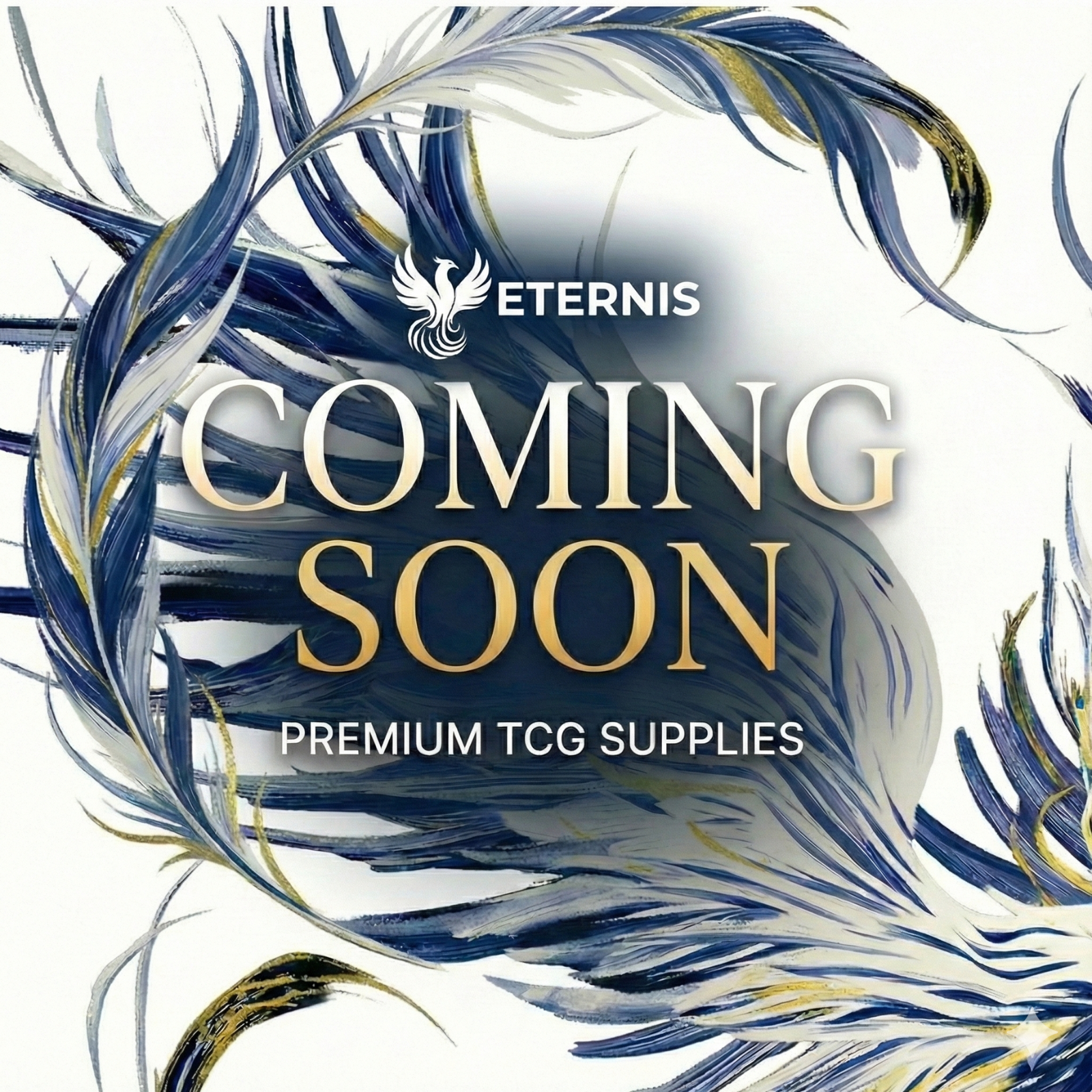 ETERNIS PRO  デュアルマットスリーブ 66x92mm - 100枚 – Black - 標準サイズ